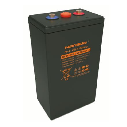 REXC500 Narada Battery
